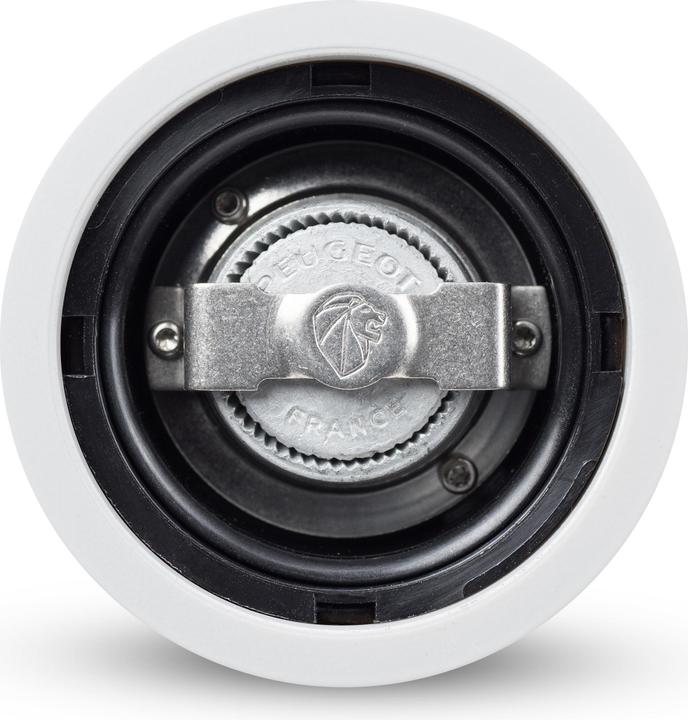 Immagine prodotto Peugeot Parigi (Pepe)