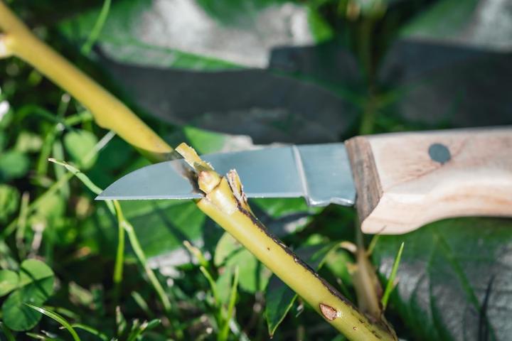 Actual product image Stubai Carving set, 7 pieces