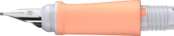 Schneider Front part L Ray Flora