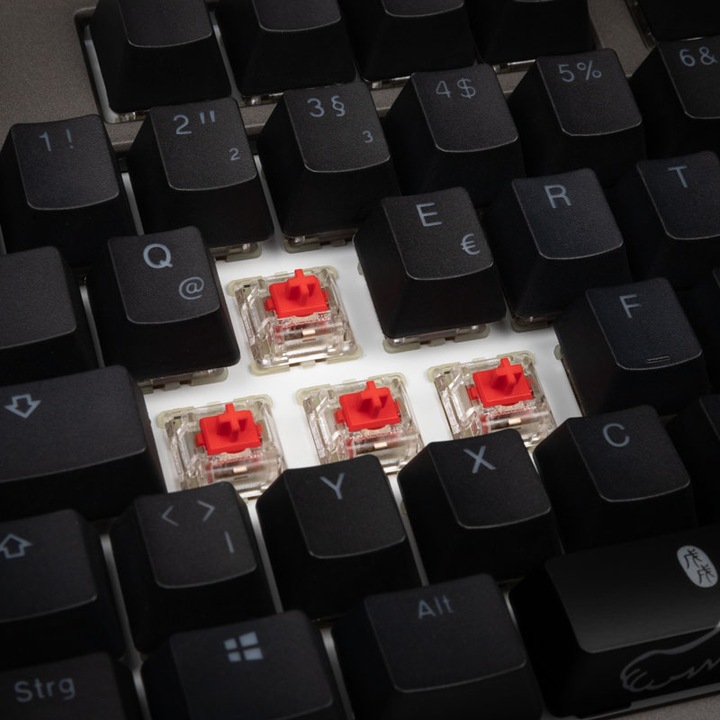Actual product image Ducky Shine 7 (DE, Cable)