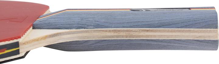 Actual product image Joola Team School