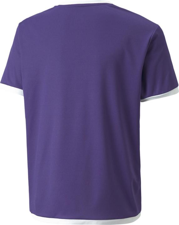 Actual product image Puma teamLIGA Jersey Jr-704925 (116)