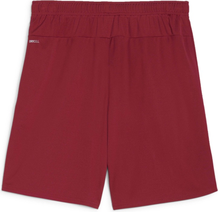 Actual product image Puma teamGOAL shorts (3XL)