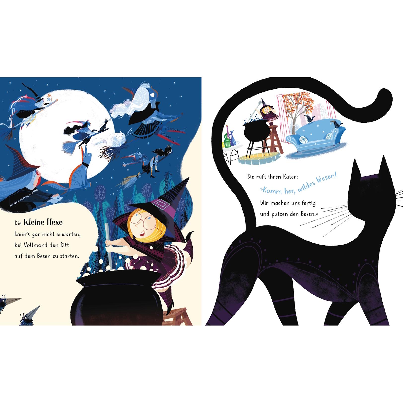 Thumbnail - Die kleine Hexe, die ihren Besen verlor, Kinderbücher von Elaine Bickell, Cornelia Boese, Raymond McGrath