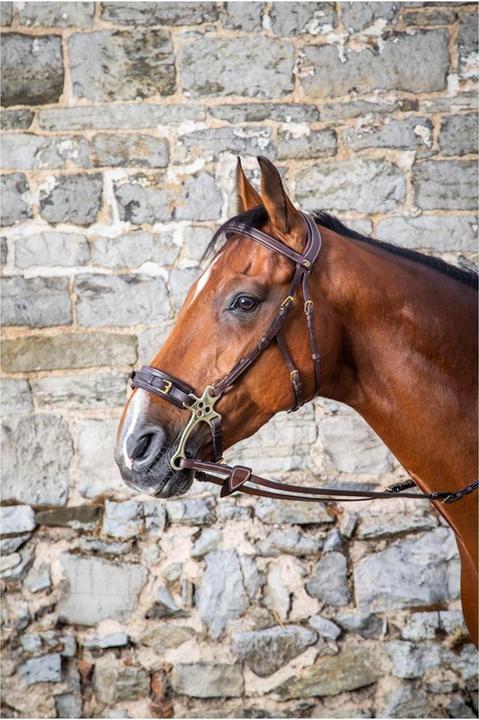 Dy'on Zaum Hackamore Collection