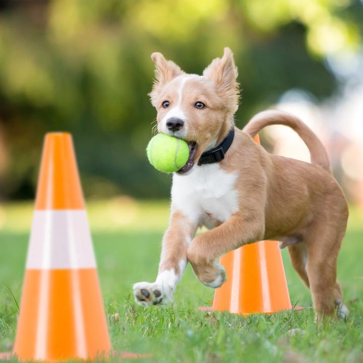 Actual product image Relaxdays 32x pylons