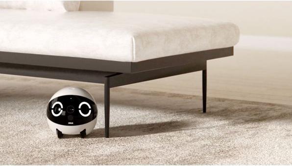 Actual product image Enabot Rola Mini Companion Robot (2304 x 1296 Pixels)
