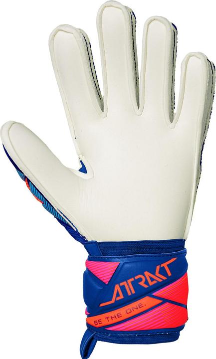 Produktbild Reusch Attrakt Advance (7.5)