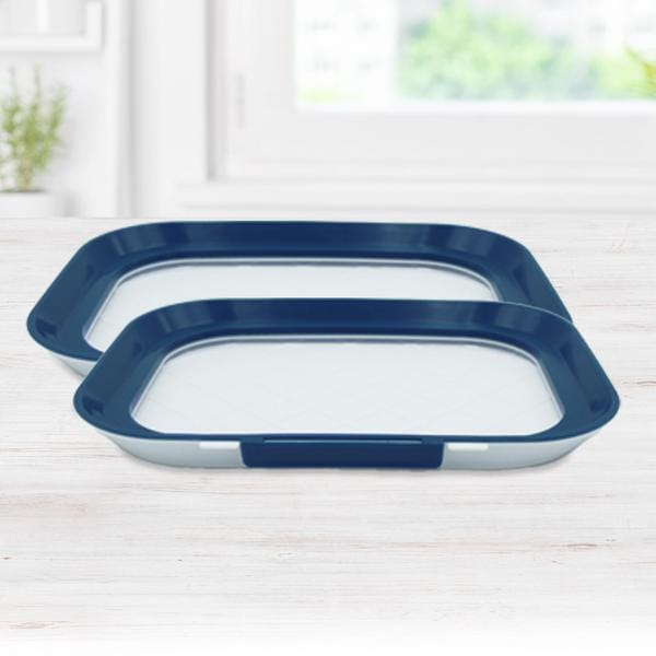 Immagine prodotto Livington Flex & Fresh Piatto fresco 2 pezzi, Blu/Bianco (3.17 l)
