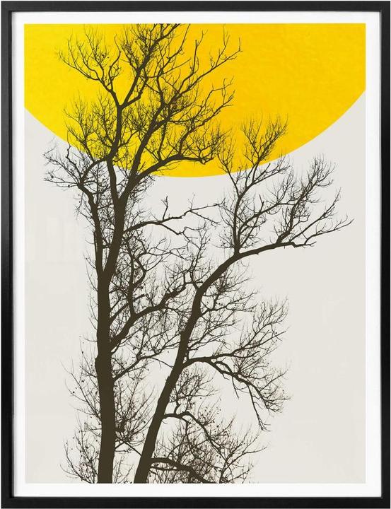 Immagine prodotto Trenddeko Ricordi d'autunno (40 x 50 cm)