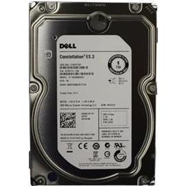 Dell Festplatte 1 TB (1 TB, 3.5"), Festplatte