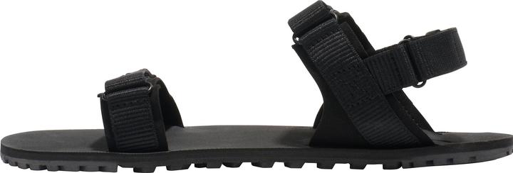 Actual product image Xero Shoes D-Trail (39.5)