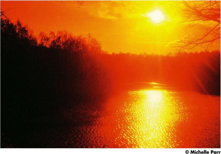 Actual product image Harman Photo Red 125