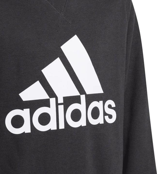 Immagine prodotto adidas Essentials Felpa Grande Logo Ragazzi (134)