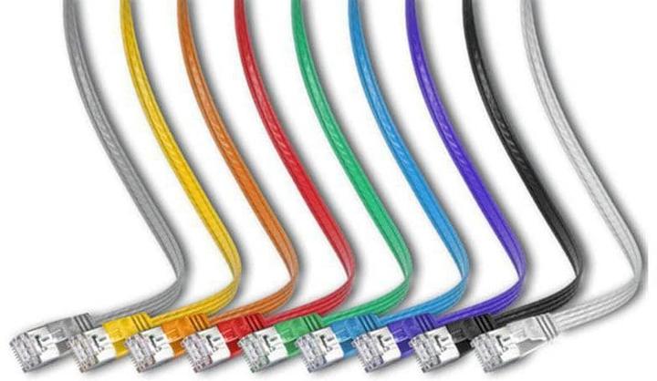 Image du produit Lightwin Câble de réseau (STP, CAT6, 3 m)