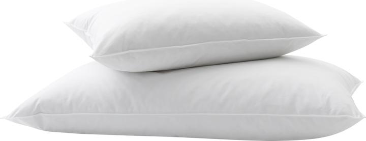 Actual product image Billerbeck Standard 350 (65 x 100 cm)