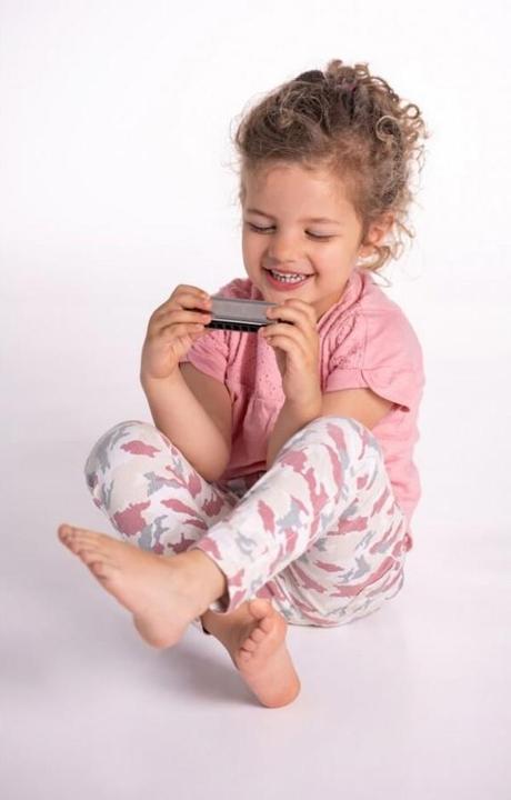 Actual product image Boogie Bee Harmonica (German, French, Dutch, Italian)