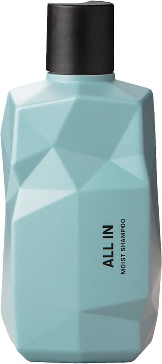 Actual product image Nine Yards All In Moist Shampoo Moisturising Shampoo For Hair 300Ml (300 ml, Liquid shampoo)