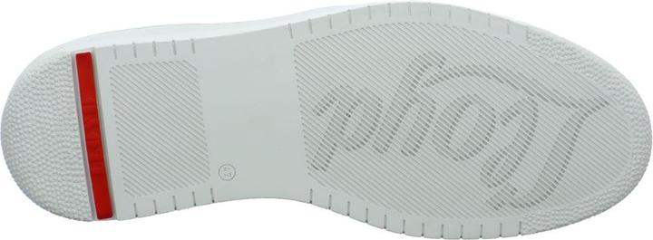 Actual product image Lloyd Arel (46)