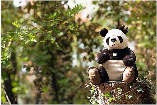 Image du produit Steiff Pandi Grand panda multicolore 40cm (40 cm)
