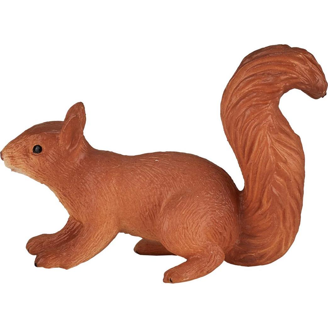 Thumbnail - Animal Planet Eichhörnchen