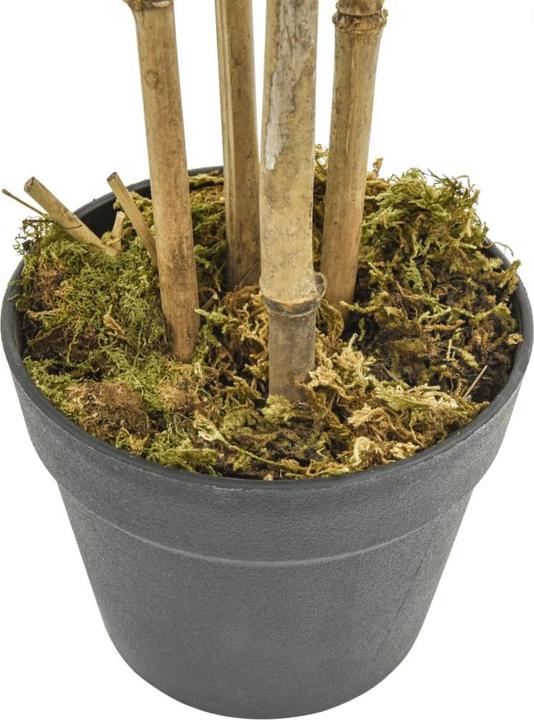 Produktbild VidaXL Bambusbaum (150 cm)
