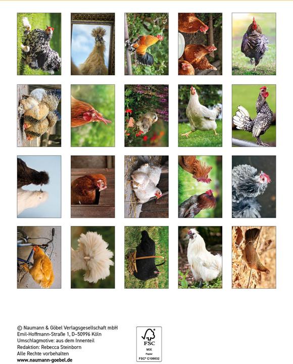 Produktbild Postkartenblock Hühner (1 Stk.)