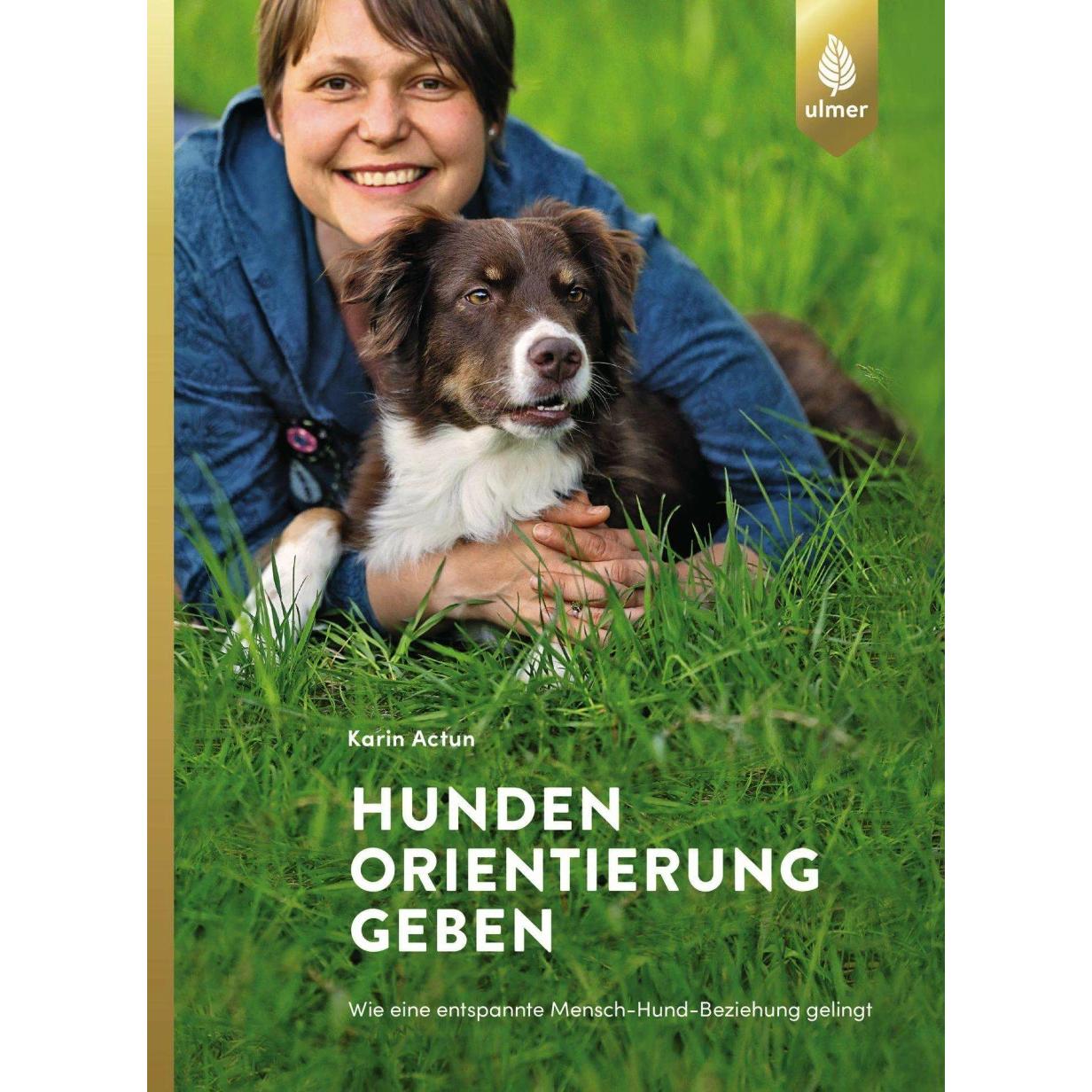 Hunden Orientierung geben, Ratgeber von Karin Actun