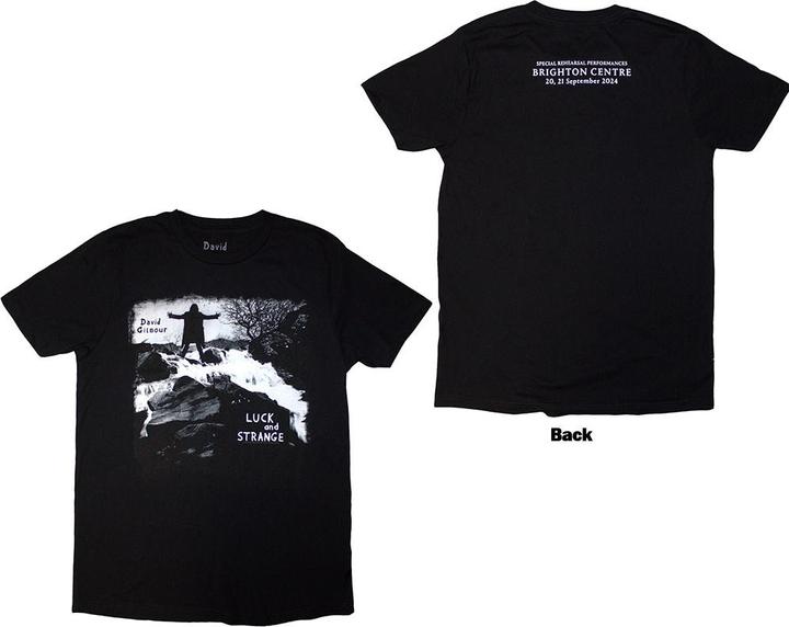 David Gilmour Luck & Strange Album Brighton (S)