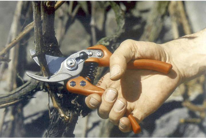Actual product image Bahco 20 mm bypass pruning shears with composite handle and angled head, 200 mm