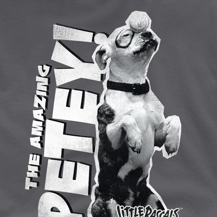 Image du produit The Little Rascals - T-shirt AMAZING PETEY - Homme (L)