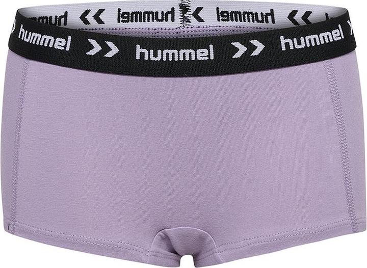 Produktbild hummel hmlNALA HIPSTERS 3 PAK (34, 36, 38, 40)