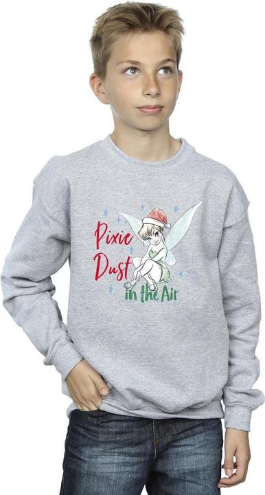 Actual product image Disney Boys Tinker Bell Pixie Dust Sweatshirt (152, 158)