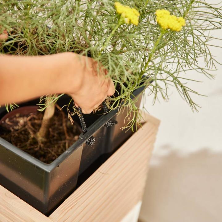 Actual product image Siena Garden Insect house (33 cm)