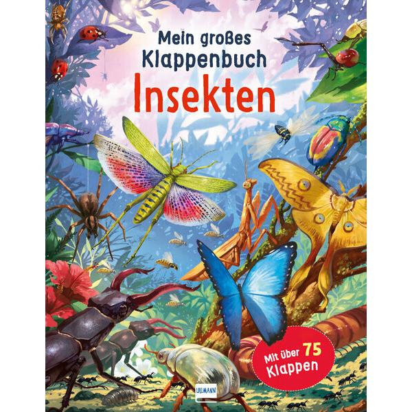 Mein grosses Klappenbuch - Insekten, Kinderbücher von Rod Green