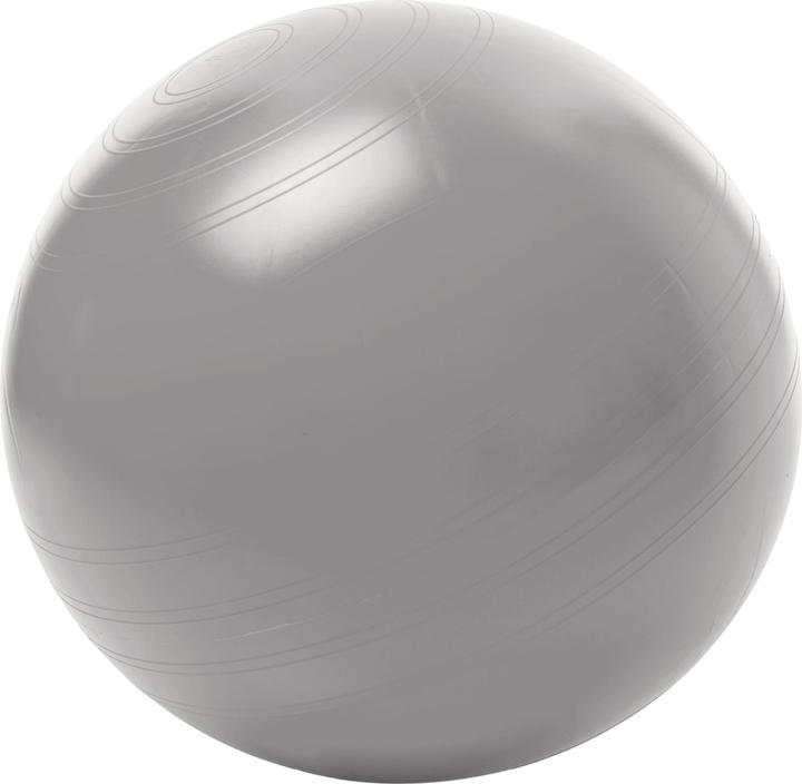 Togu Sitzball ABS (65 cm)