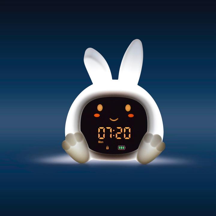 Produktbild ZaZu Schlaftainer Sarah