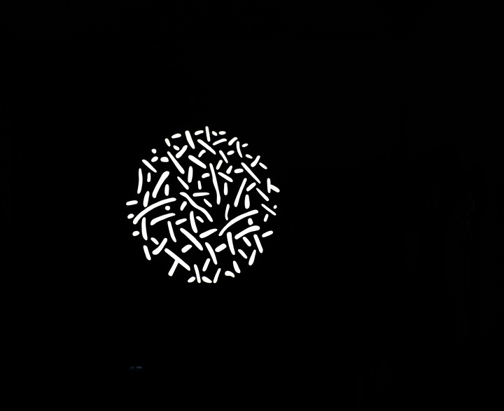 Produktbild Nanlite Gobo Set 1 zu FM Mount Projektionsaufsatz (Diverse)