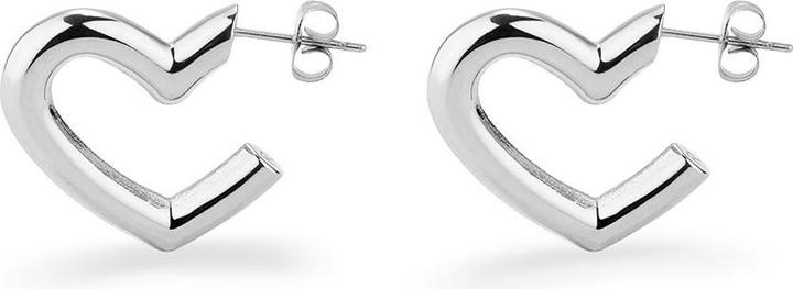 Actual product image Radiant Silver Earrings (Silver)