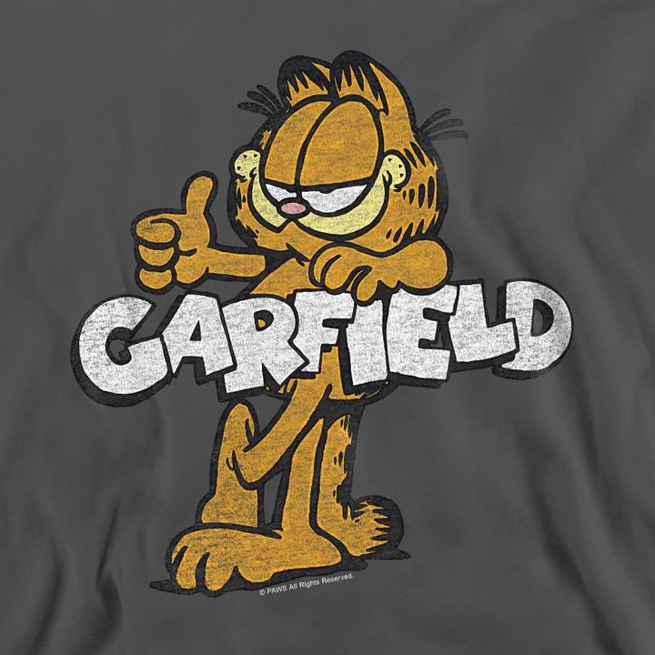 Actual product image Garfield Unisex Adult Garf Retro Sweatshirt (S)