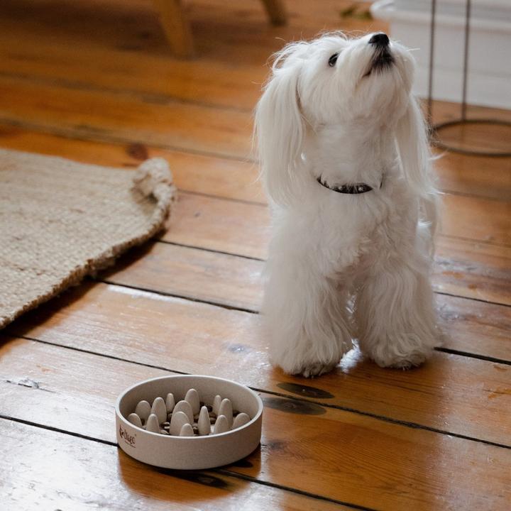 Actual product image Red Dingo DINGO Bamboo bowl - dog bowl - 410 ml (41 cl)