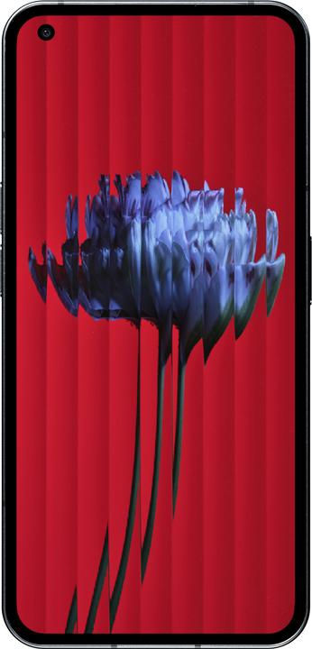 Nothing Phone (1) (8GB) (256 GB, Schwarz, 6.55", Dual SIM, 5G)