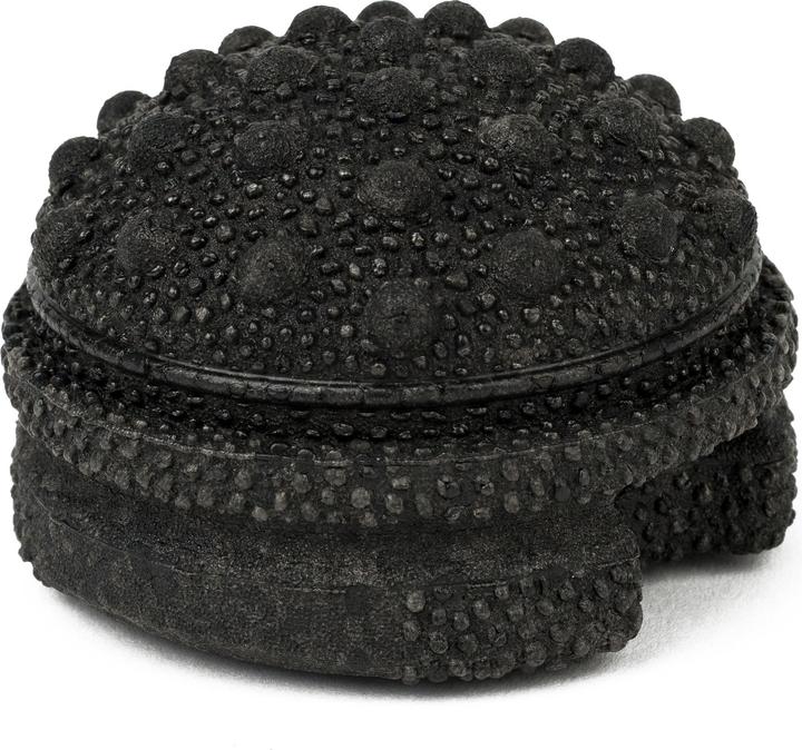 Immagine prodotto Blackroll Twister