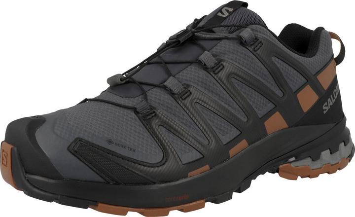Produktbild Salomon XA Pro 3D v8 GTX (44 2/3)