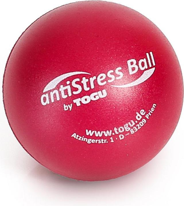 Image du produit Togu Set de balles anti-stress (34 cm, 0.44 kg)