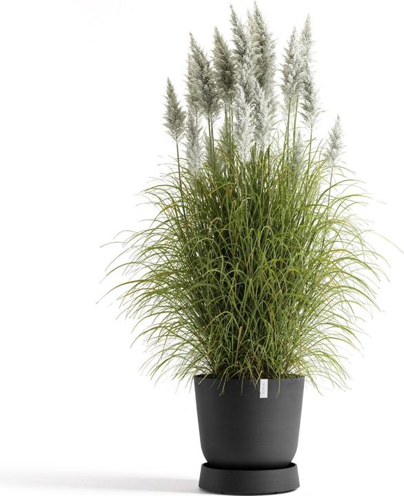 Image du produit Ecopots Saucer Wheels Oslo