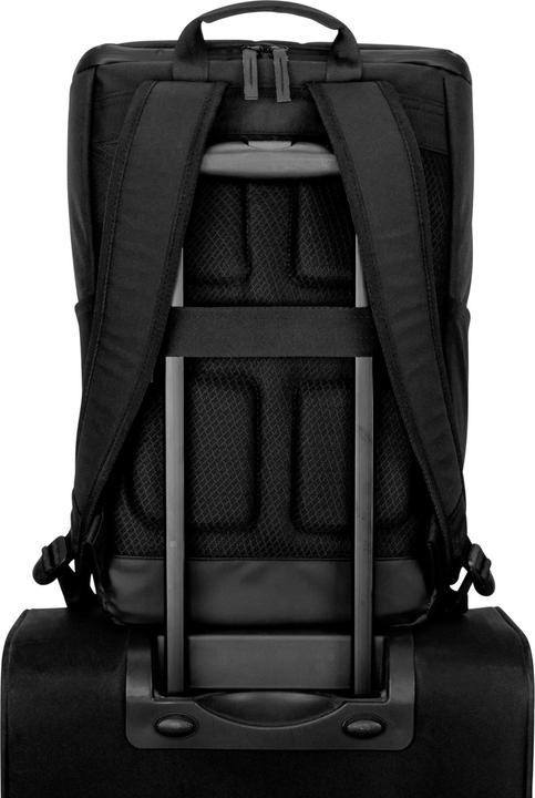 Image du produit Johnny Urban Jasper (20 l)
