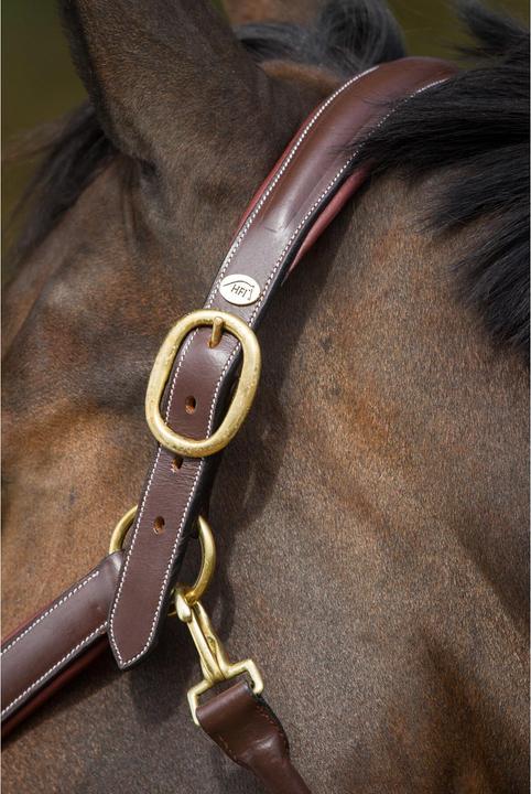 Immagine prodotto HFI Master X-Full