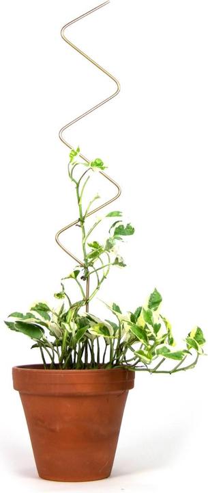 Immagine prodotto Botanopia Rankhilfe