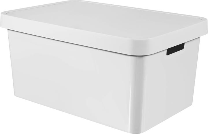 Actual product image Curver Infinity 45L baltas indas su dangteliu (45 l)